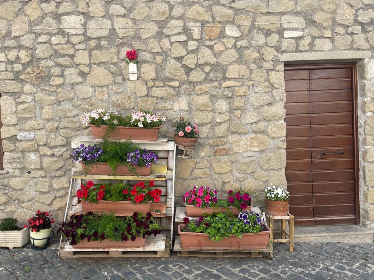 Luminoso Appartamento Sul Lago - Lake Court Anguillara Sabazia Eksteriør billede